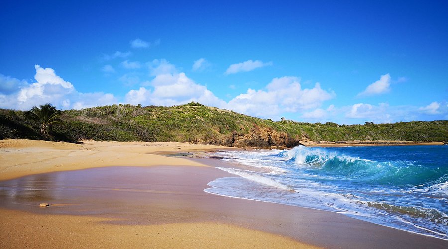 Waves washing onto an open sandy shoreline